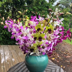 The Rainbow Bouquet